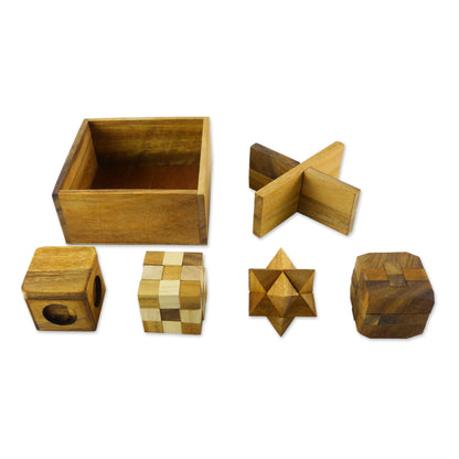 Wooden 3-Dimensional Five Puzzles