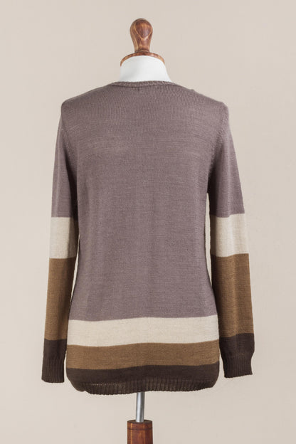 Imagine in Brown Striped Pullover Sweater