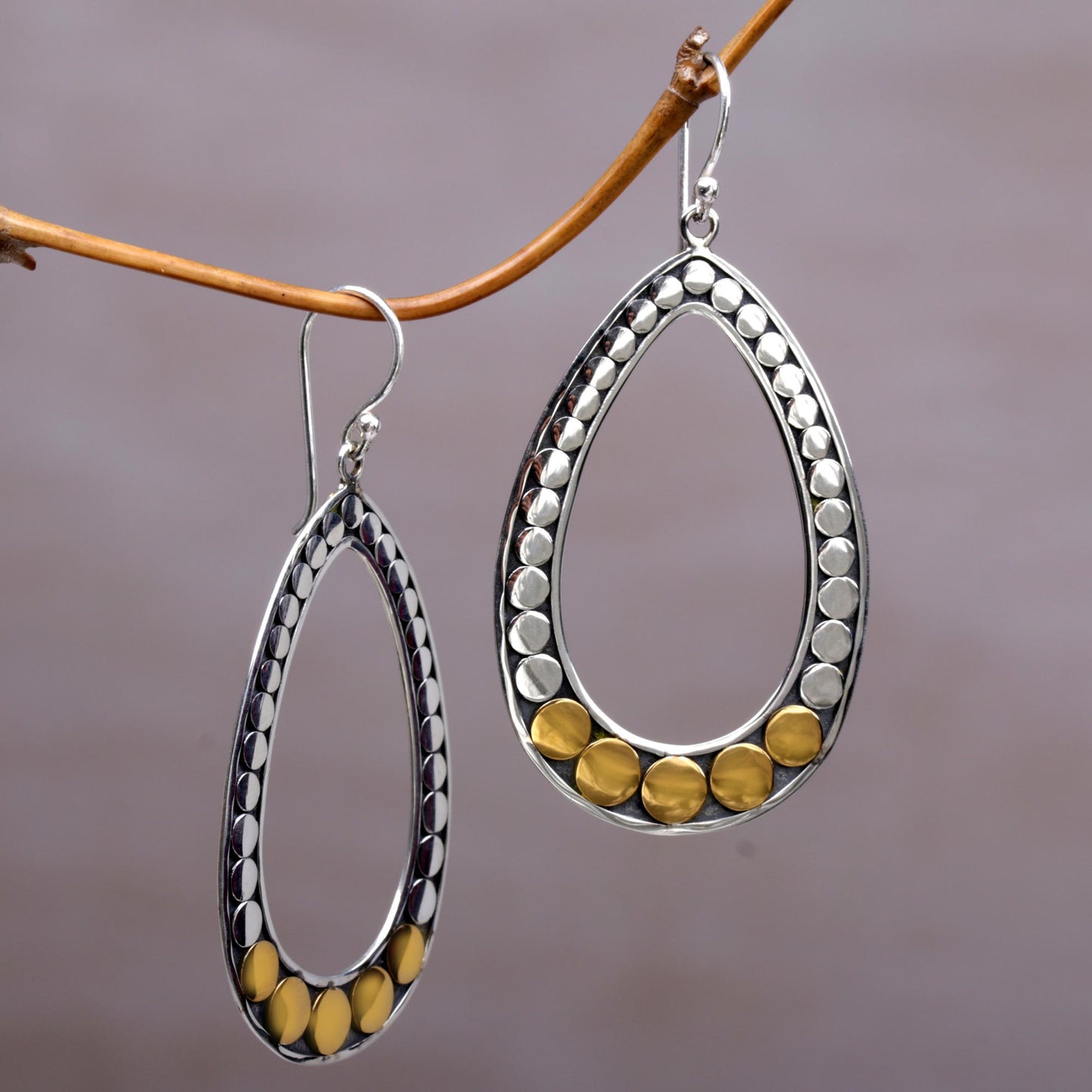 Fortunate Circles Gold and Sterling Silver Oval Dangle Earrings from Indonesia