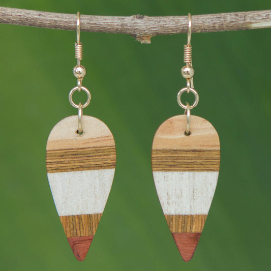 Woodland Leaves Striped Wood Dangle Earrings from Brazil