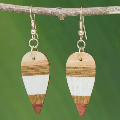 Woodland Leaves Striped Wood Dangle Earrings from Brazil