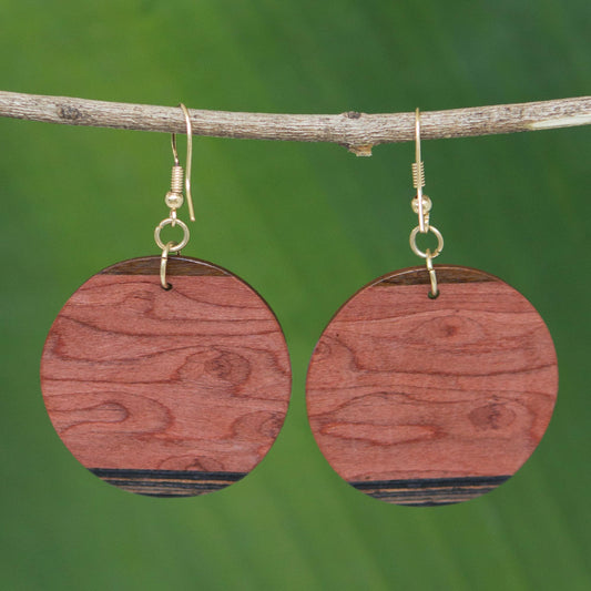 Circle of Nature Mahogany and Imbuia Wood Round Dangle Earrings from Brazil