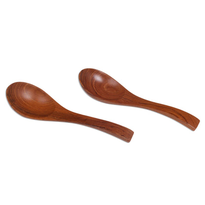 Elegant Companions Handmade Teak Wood Spoons from Bali (Pair)