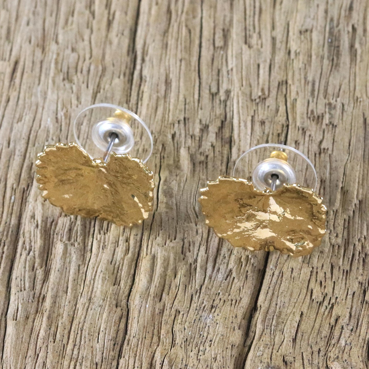 Shining Pennywort Gold Plated Natural Centella Leaf Earrings from Thailand