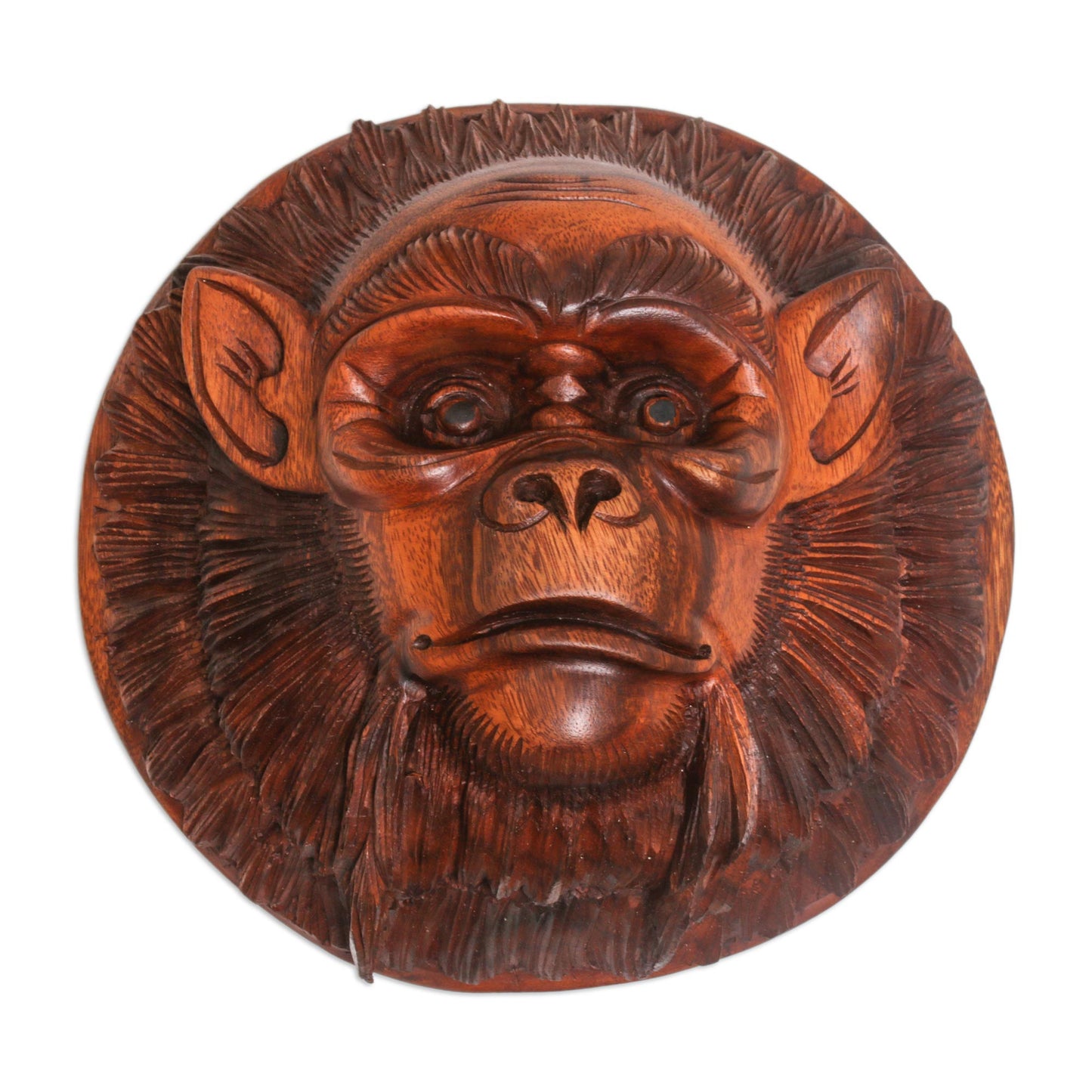 Alpha Chimpanzee Handcrafted Suar Wood Chimpanzee Mask from Bali