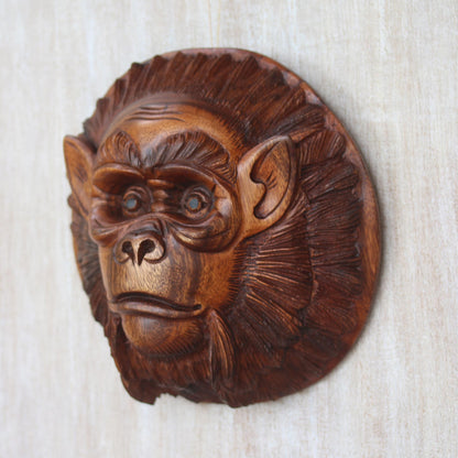 Alpha Chimpanzee Handcrafted Suar Wood Chimpanzee Mask from Bali