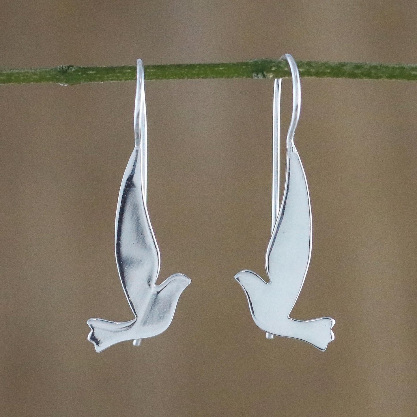 Friendly Doves Silver Satin Finish Hook Earrings
