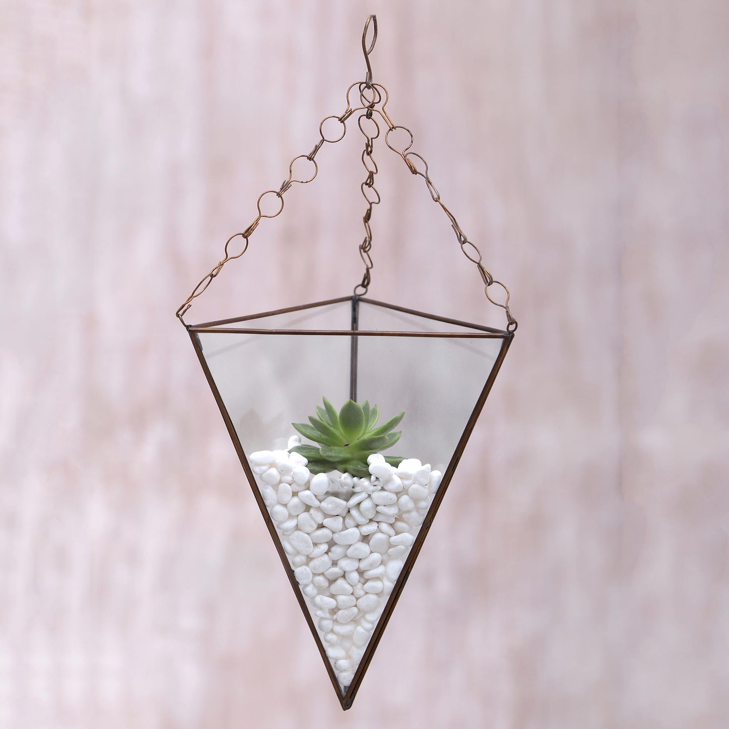 Eden Pyramid Glass and Brass 18 Inch Hanging Terrarium from Java