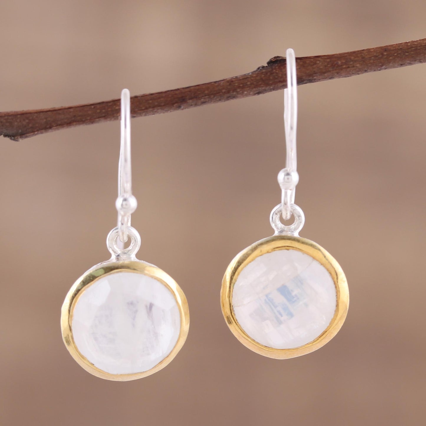 Wintry Glade Rainbow Moonstone Earrings
