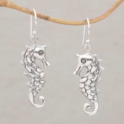 Friendly Seahorse Sterling Silver Earrings