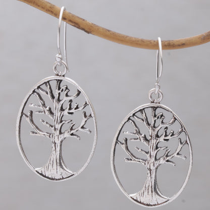 Leafless Trees Oval Tree Sterling Silver Dangle Earrings from Bali