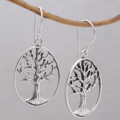 Leafless Trees Oval Tree Sterling Silver Dangle Earrings from Bali