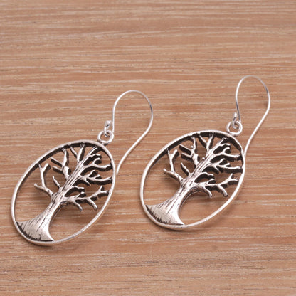 Leafless Trees Oval Tree Sterling Silver Dangle Earrings from Bali