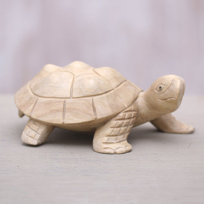 Papa Terrapin Wood Terrapin Turtle Statuette Hand Carved in Bali