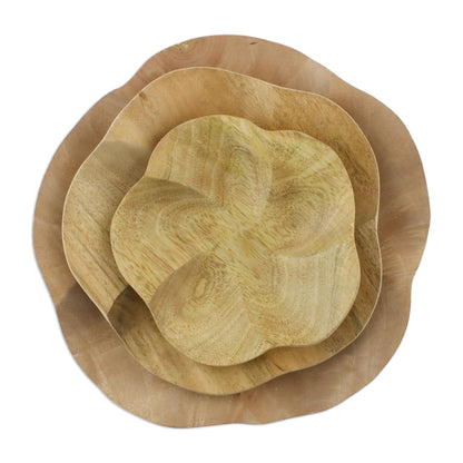 Pretty Plumeria Set of Three Wood Plumeria Flower Appetizer Bowls