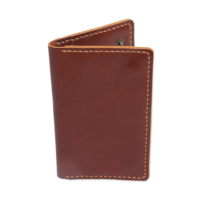 Journey Mate in Brown Leather Passport Wallet