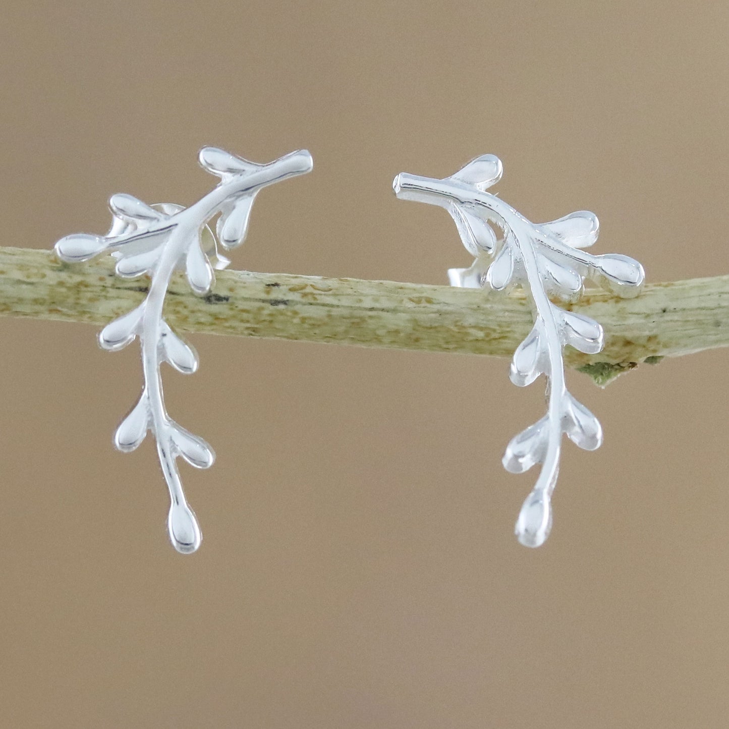 Shining Olive Sterling Silver Olive Branch Drop Earrings from Thailand