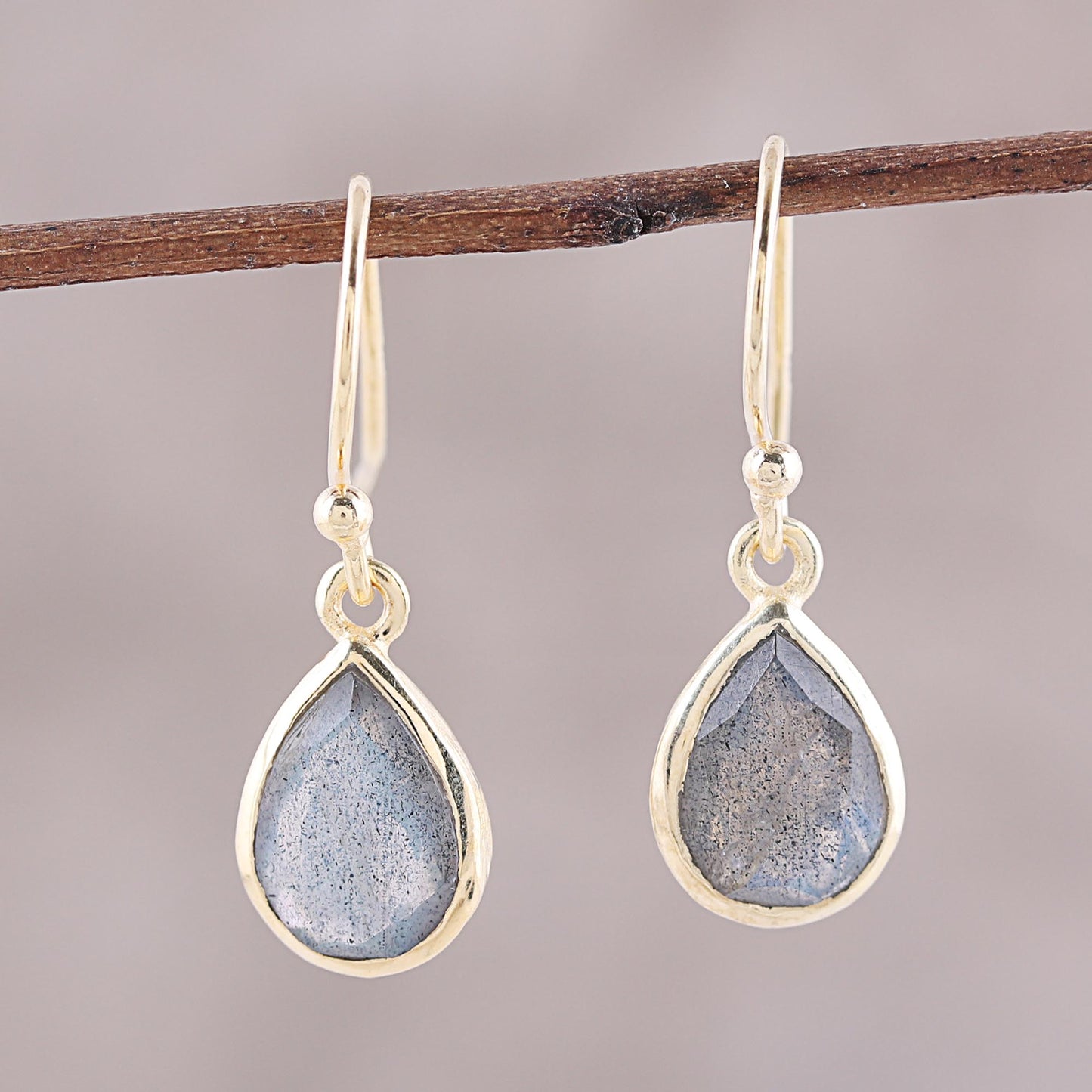 Fantastic Drops Gold Plated 4-Carat Labradorite Dangle Earrings from India