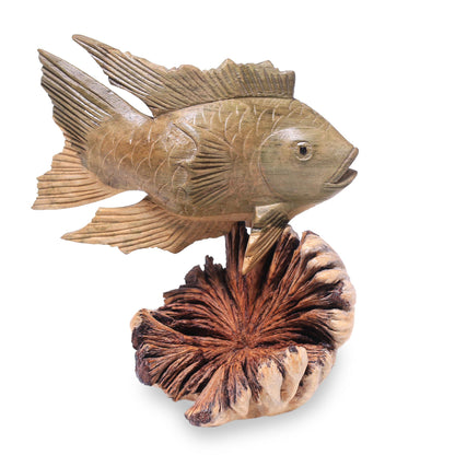 Gourami Fish Hand-Carved Wood Gourami Fish Figurine from Bali