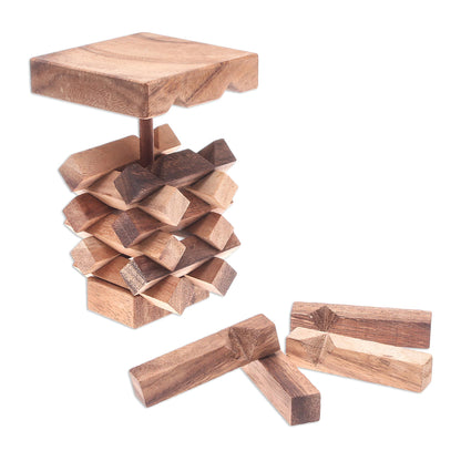 Tower of Pisa 18-Piece Raintree Wood Tower Puzzle from Thailand