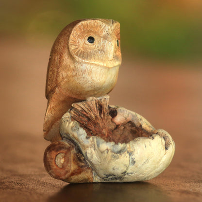 Lone Owl Jempinis Wood Owl Figurine from Bali