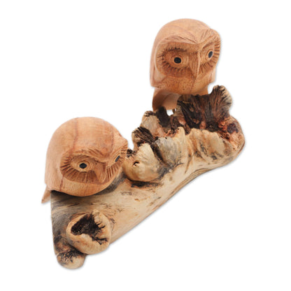 Owl Romance Jempinis Wood Owl Sculpture from Bali