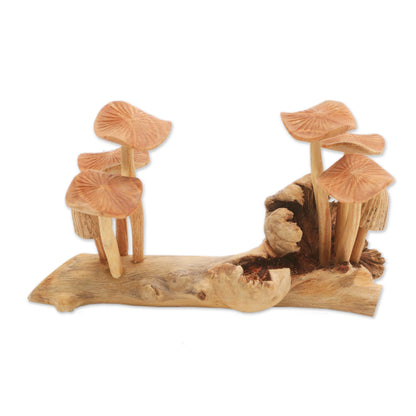 Mushroom Field Jempinise Wood Mushroom Sculpture from Bali