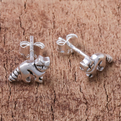 Raccoons Sterling Silver Raccoon Stud Earrings from Thailand