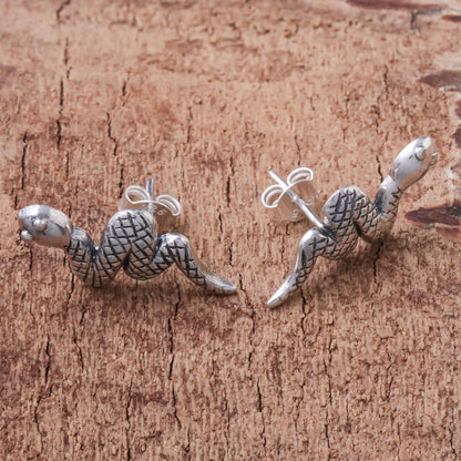 Cute Snakes Sterling Silver Snake Button Earrings from Thailand