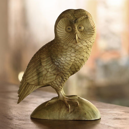 Intelligent Owl Hand-Carved Hibiscus Wood Owl Sculpture from Bali