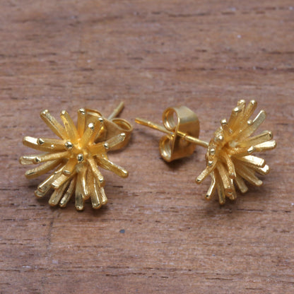 Golden Coral Modern 18k Gold Plated Sterling Silver Stud Earrings