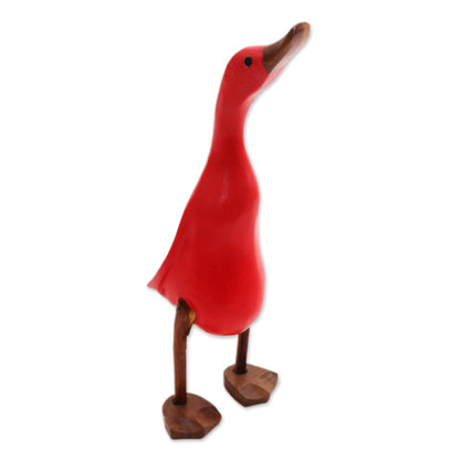 Barefoot Duck Acacia Wood and Bamboo Root Duck Sculpture in Red from Bali