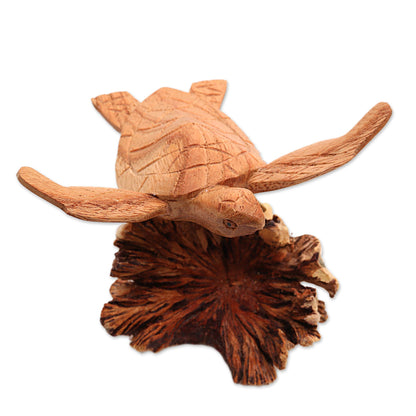 Swimming Turtle Jempinis and Benalu Wood Sea Turtle Figurine from Bali