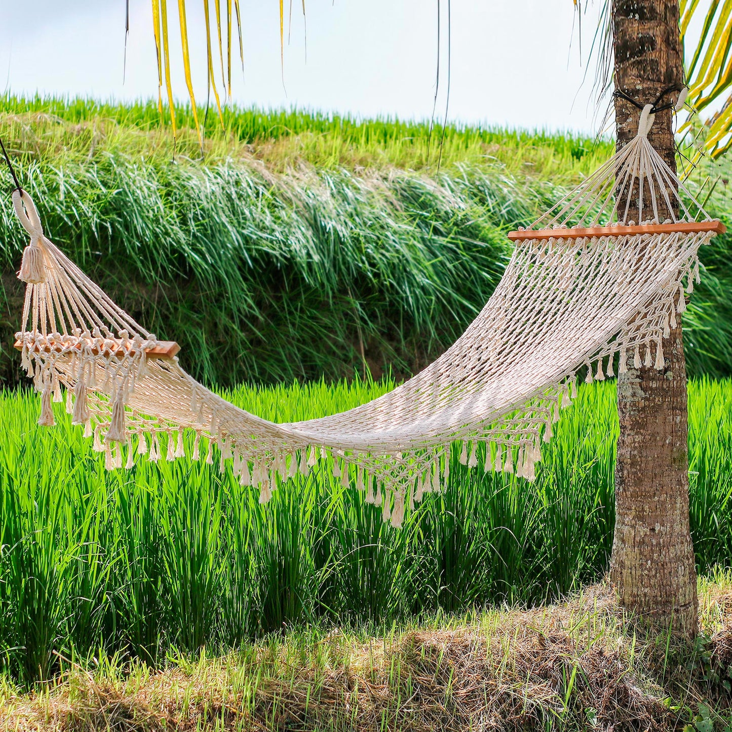 bali hängematte NOVICA Bali Relaxation Hand-Knotted Cotton Rope Hammock from Bali (Single)