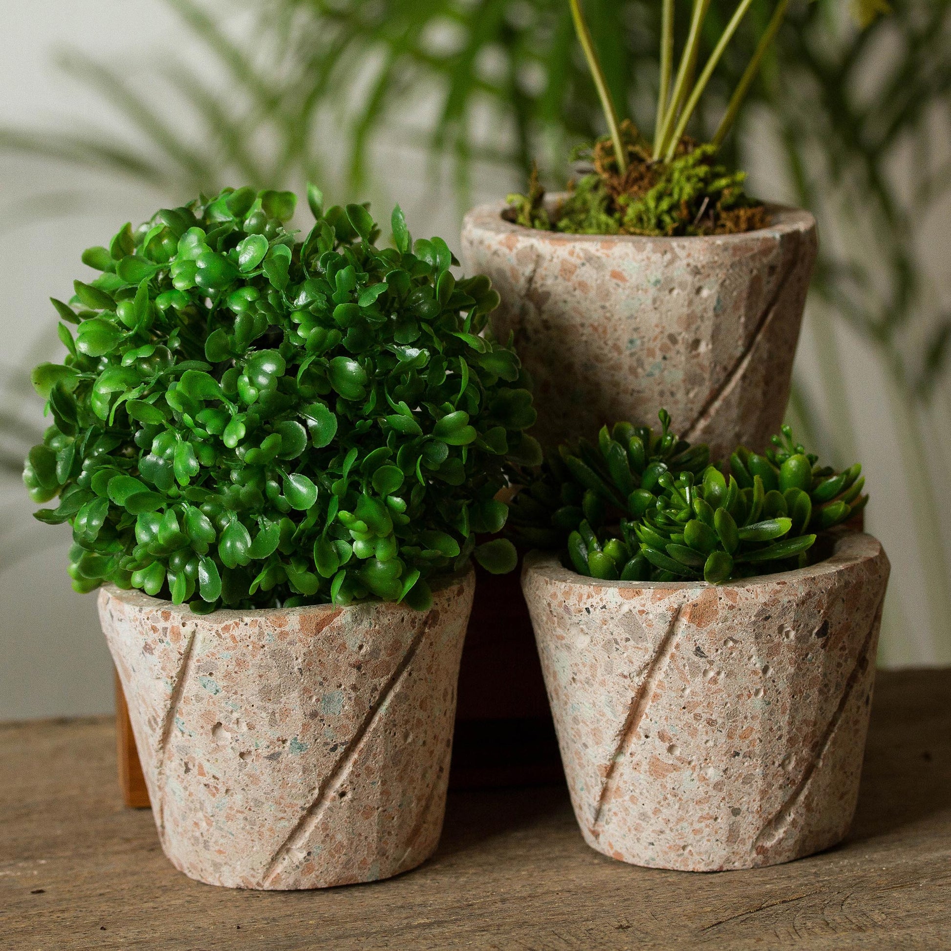 spiral plants in pots Plant Stripes Spiral Pattern Reclaimed Stone Flower Pots (Set of 3)