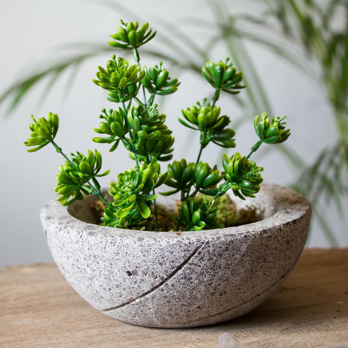 Lively Spiral Round Spiral Pattern Reclaimed Stone Flower Pot from Mexico