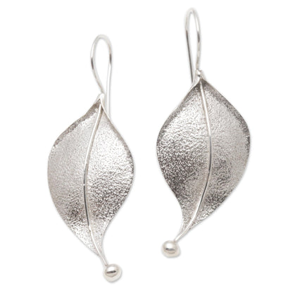 Curved Leaves Modern Leaf-Shaped Sterling Silver Drop Earrings from Bali