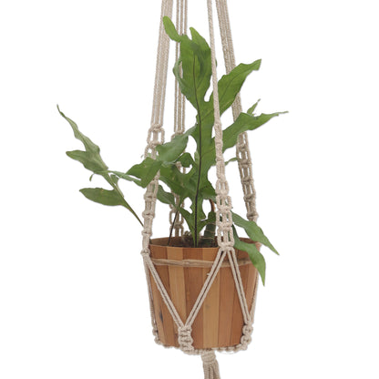 Pure Home Hand-Knotted White Cotton Macrame Hanger from Bali