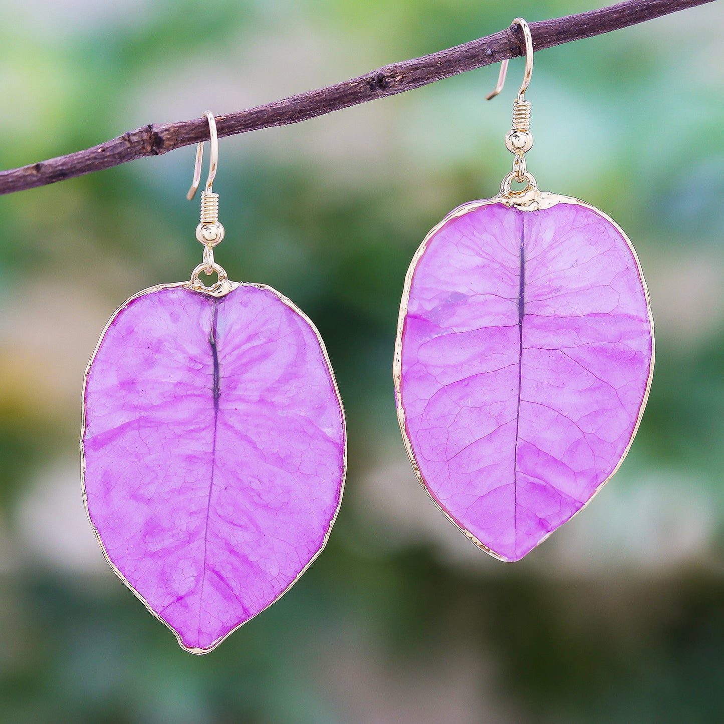 Bougainvillea Love in Purple Gold Accented Natural Flower Dangle Earrings in Purple