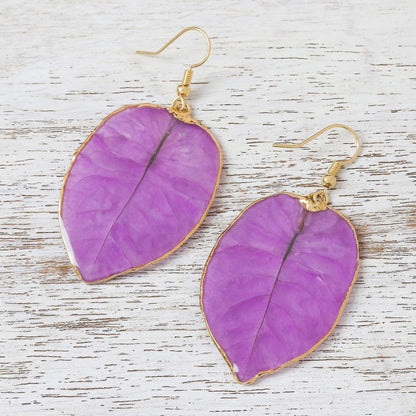 Bougainvillea Love in Purple Gold Accented Natural Flower Dangle Earrings in Purple