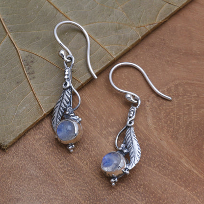 Leaf Glow Leaf Motif Rainbow Moonstone Dangle Earrings