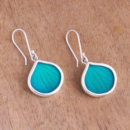 Leaf Drops in Aqua Drop-Shaped Natural Leaf Dangle Earrings in Aqua from Peru