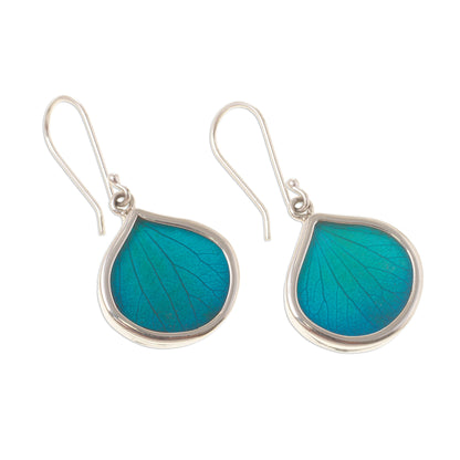 Leaf Drops in Aqua Drop-Shaped Natural Leaf Dangle Earrings in Aqua from Peru