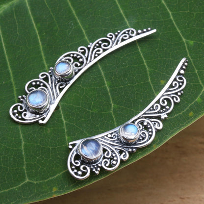 Little Wings Rainbow Moonstone Ear Climber Style Earrings