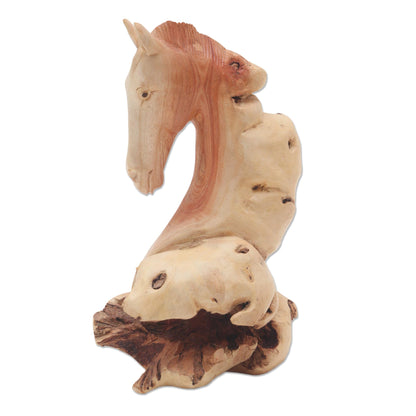 Horse Head Unique Benalu Wood Horse Head Statuette