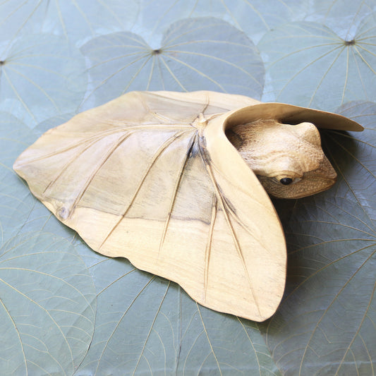 Shy Frog Hibiscus Wood Sculpture of Frog Under Leaf