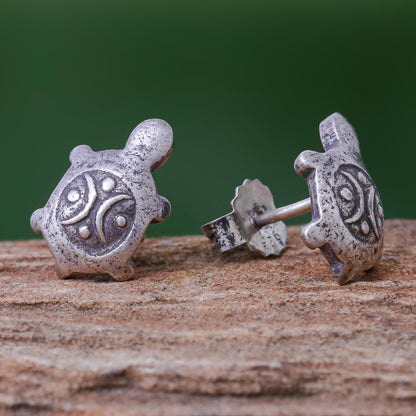 Thai Turtles Cute 950 Silver Turtle Stud Earrings
