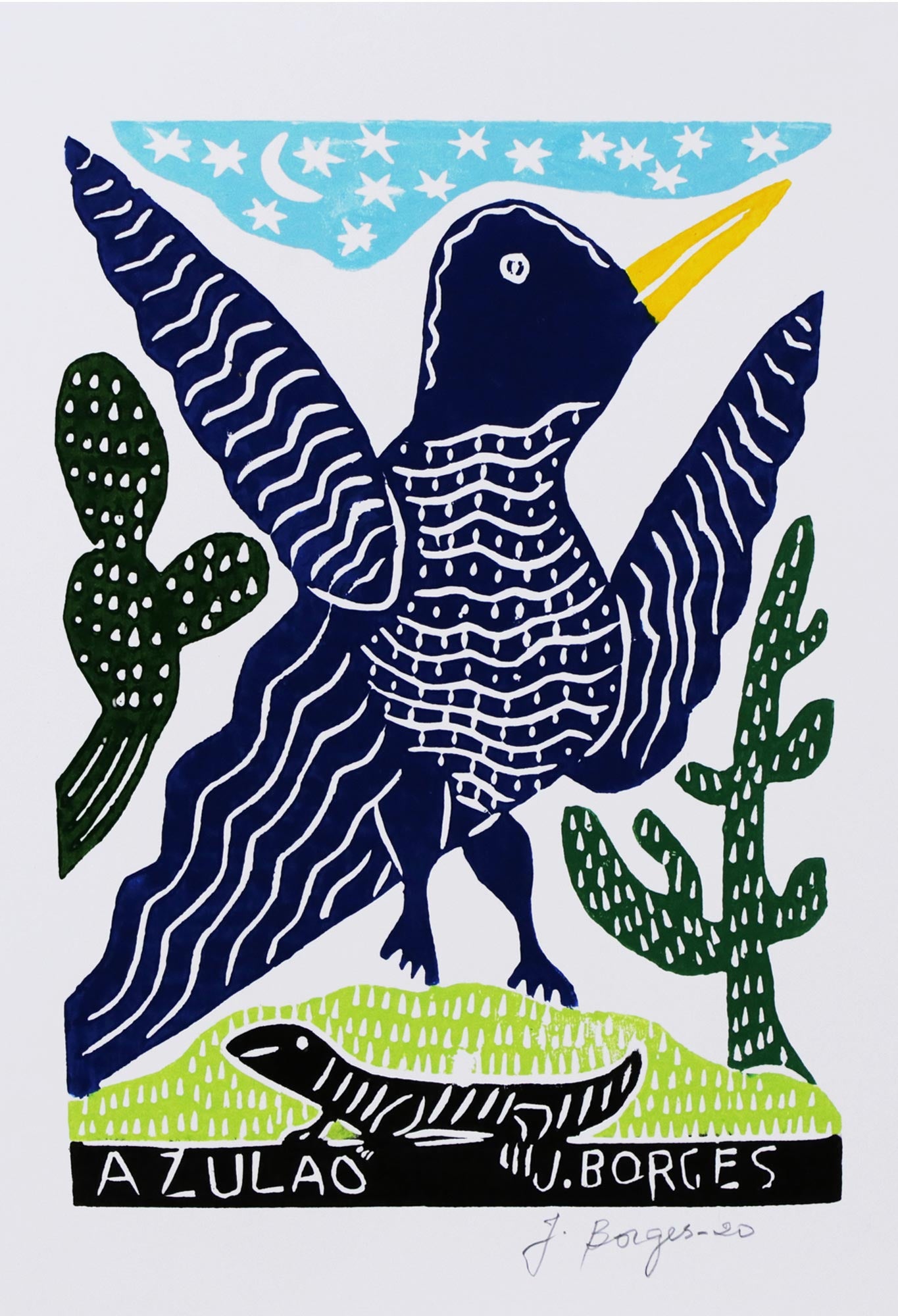 Brazil bird ブラジル バード アキツユコ Brazil bird ブラジル バード