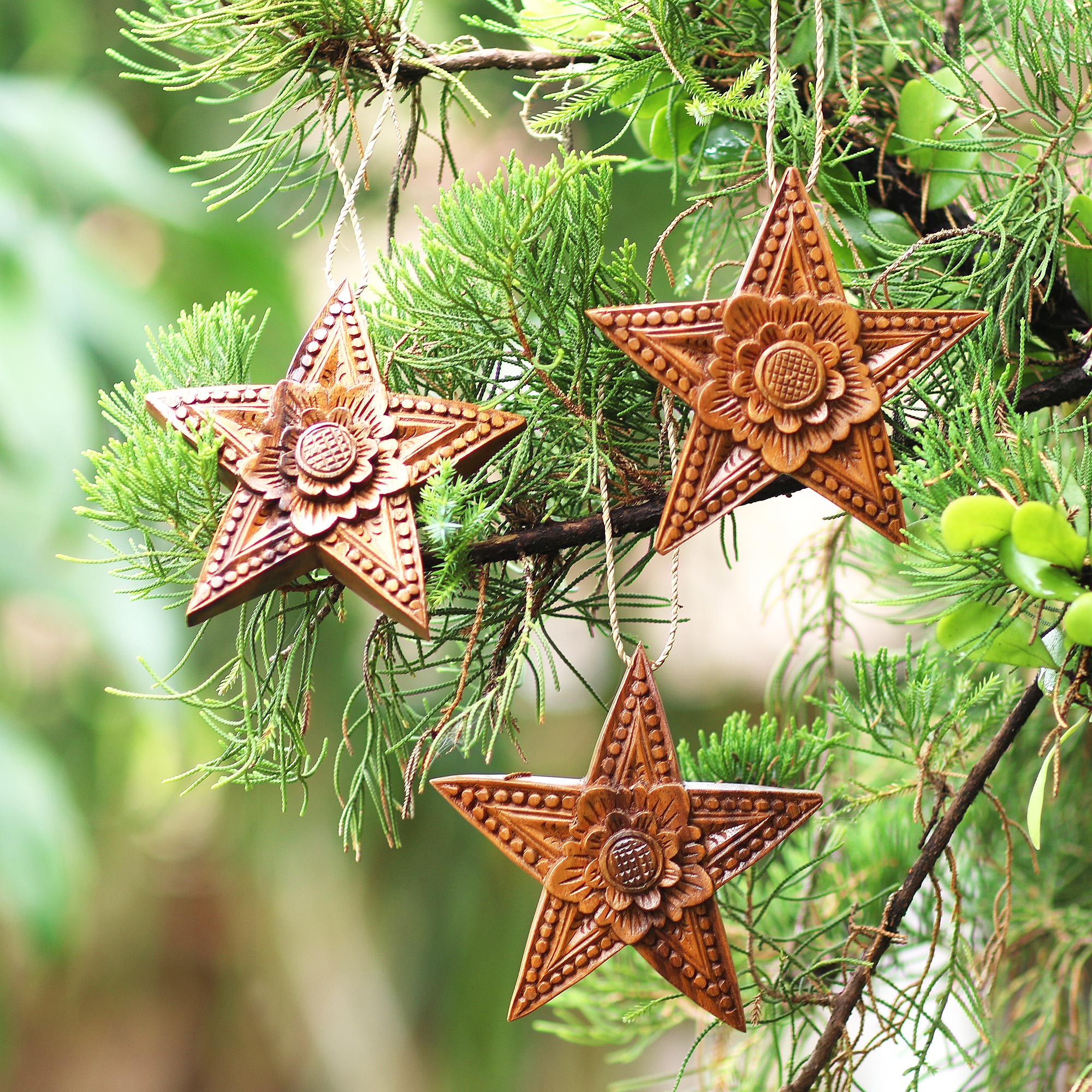 Sunny Christmas Hand Carved Star-Shaped Holiday Ornaments (Set of