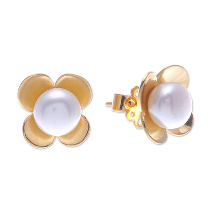 Eternal Blossom in Gold Thai Gold-Plated Cultured Pearl Button Earrings